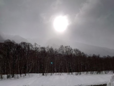 薄曇りの天気、こんな写真が撮れました。