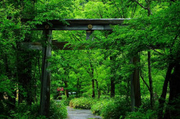 第３位『雨に濡れ荘厳さを増す穂高神社』