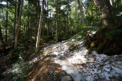 風穴より先へ進んだ所にまだ残雪の上を歩くポイントがありましたがそんなに長い距離ではありませんでした。