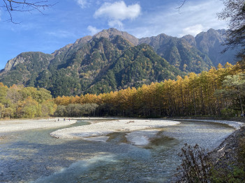 梓川が弓なりにカーブしているところがカラマツの絶景スポットです！