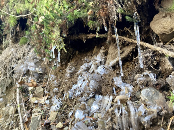 山頂付近は、霜が降りて、つららも見られました。