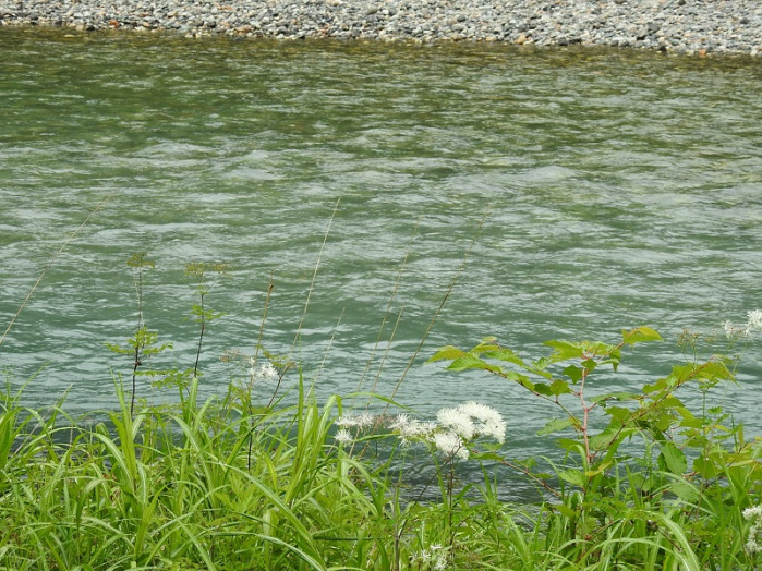 梓川の水も澄んでいます。