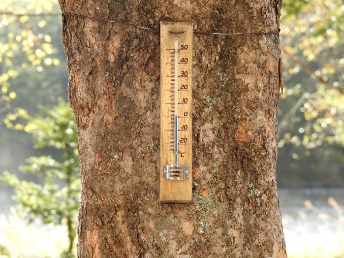 8：00頃。少しだけ気温が上がりました。