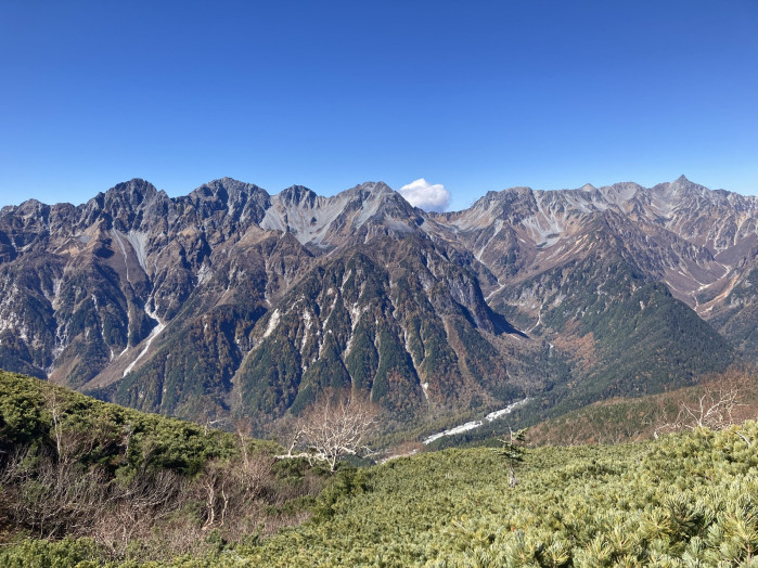 山！広い空を、タカが悠々と飛んでいました。