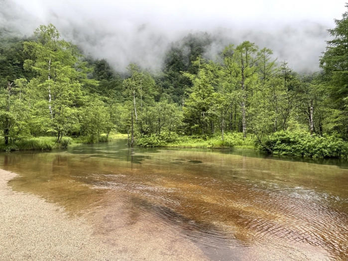 霧が立ち込めて、まさに深山幽谷！