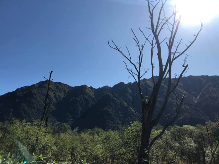 一日中すごくいい天気でした。