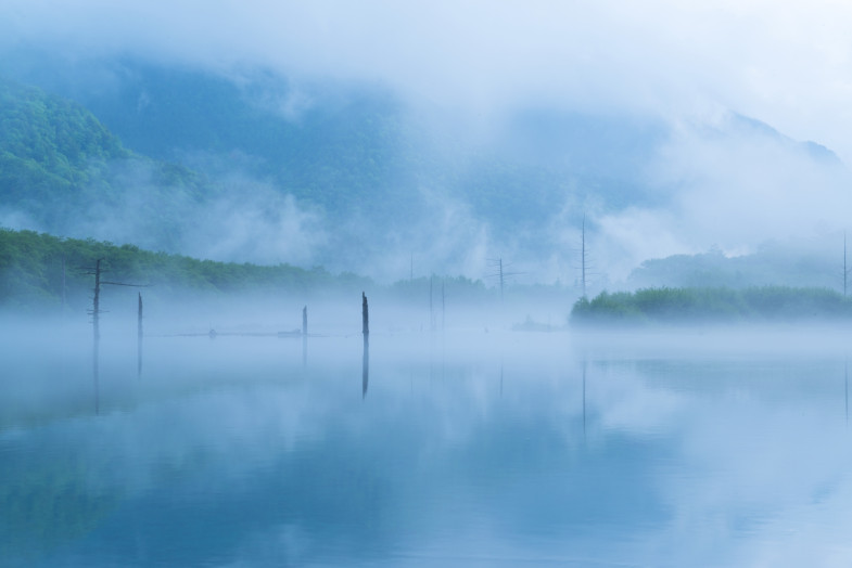 幻想的な大正池