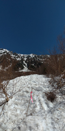 何度も登ったことがある岳沢も、雪があると別世界です。