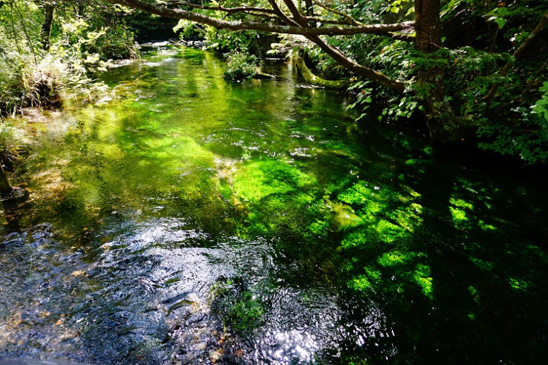 いつみてもキラキラな清水川。