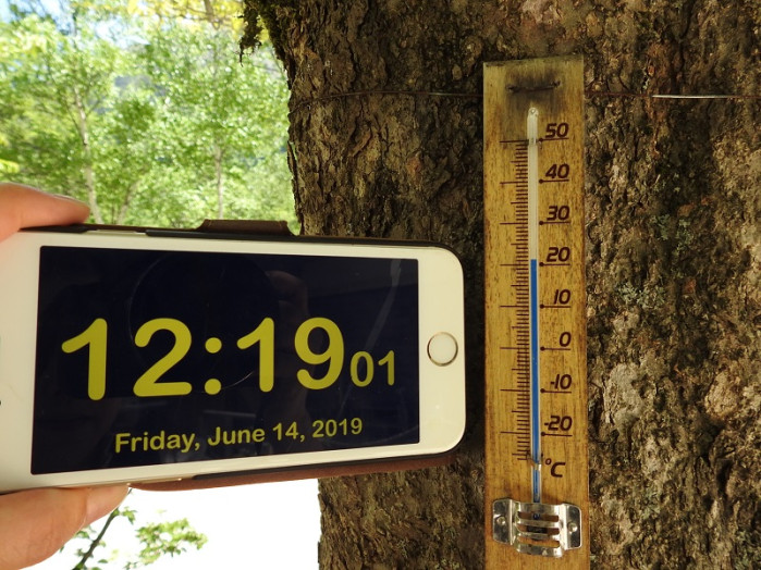 日中は20℃を超えて気持ちがよかったです。