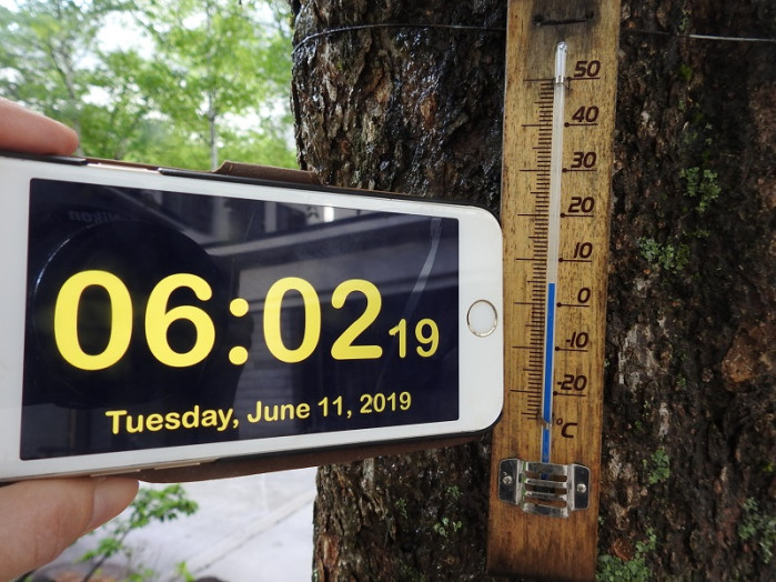 今朝6時頃の気温は5℃くらい。寒かったです～