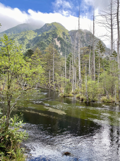 岳沢への登山口近くにある、岳沢湿原