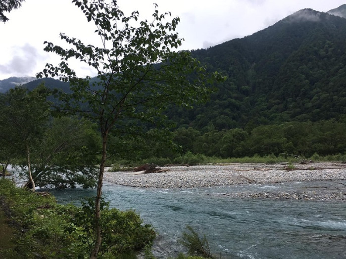 今まで川の水が通っていたところが河原になってました！