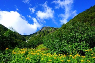 お花もまだ咲いてました＾＾