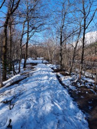 遊歩道はまだ雪がたくさん。