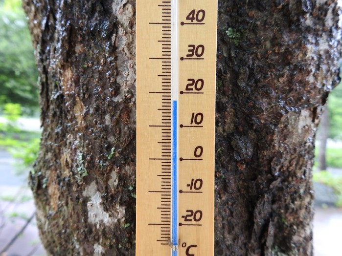 9：00頃のホテル前の気温は約18℃。