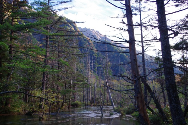 岳沢登山口まで降りてきたころに、青空がひらけてきました。