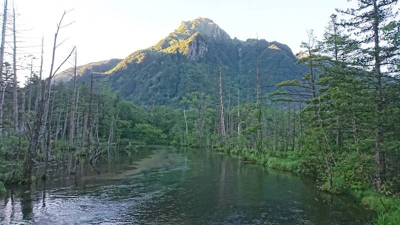 朝陽は優しく、幻想的で好きです。