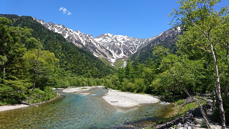 梅雨入りしたはずですが、天気のいい日が続いています(^^)