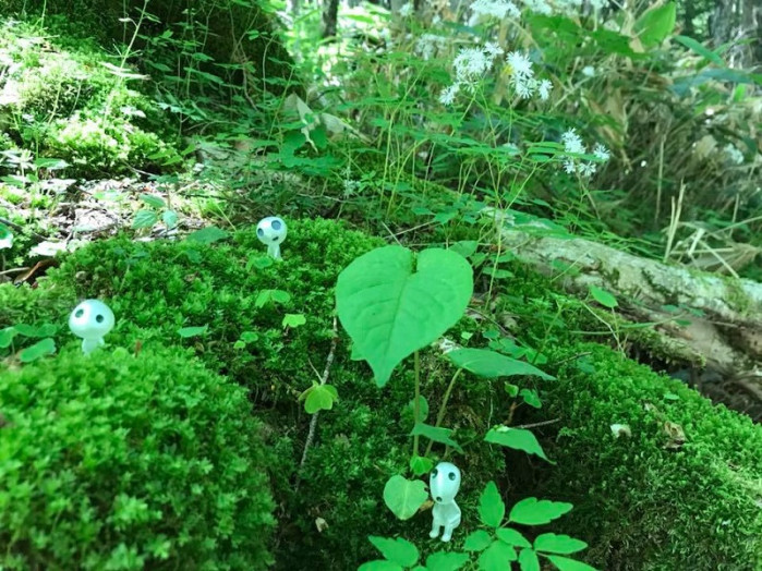 こういう場所がいっぱい！上高地好きです！