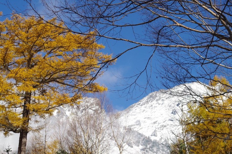 少し足をのばして、岳沢トレイル⑥見晴台まで行ってきました。