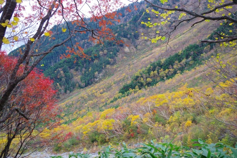 山は落葉がはじまり地肌が見え始め、もう秋から冬へと衣替えを始めていました。