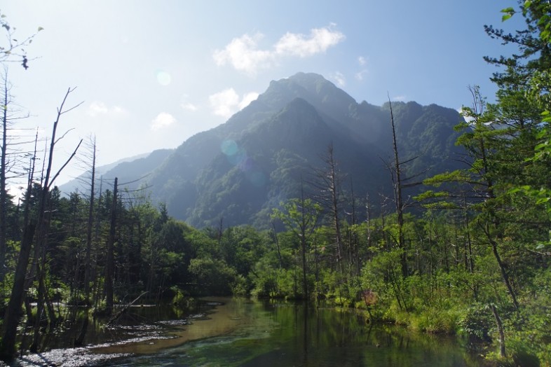 もうちょっと足をのばして岳沢湿原へ