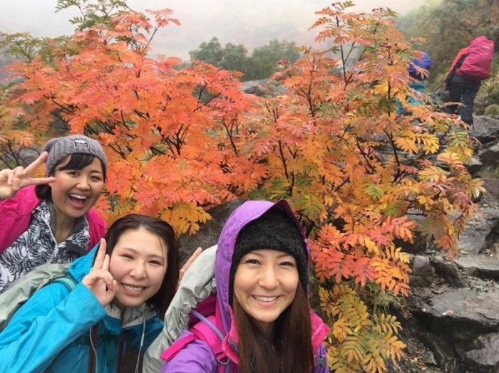 登山道でばったり！