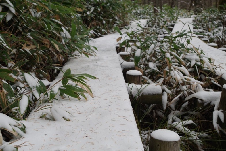 ウエストン園地の木道には、雪がたーっぷり残っていましたよ。