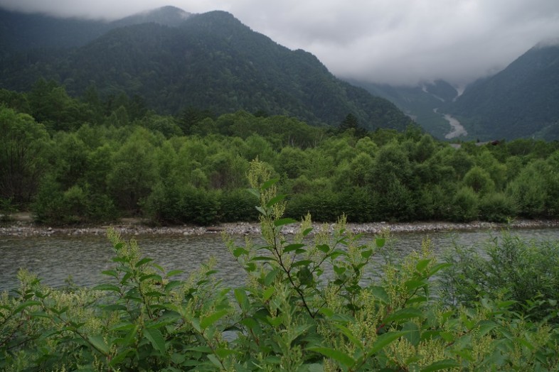 湿度を感じるほどではなく、過ごしやすい上高地です。