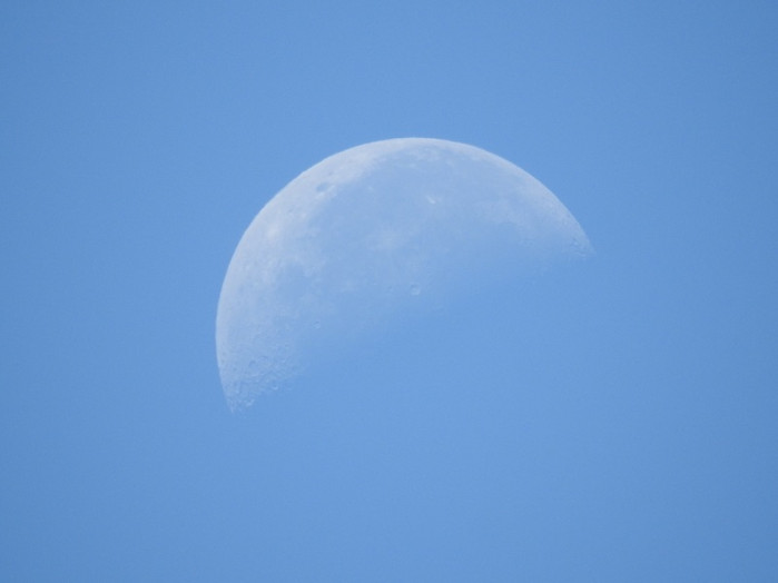 今朝9時頃、温泉ホテルさんの上空に見えた月