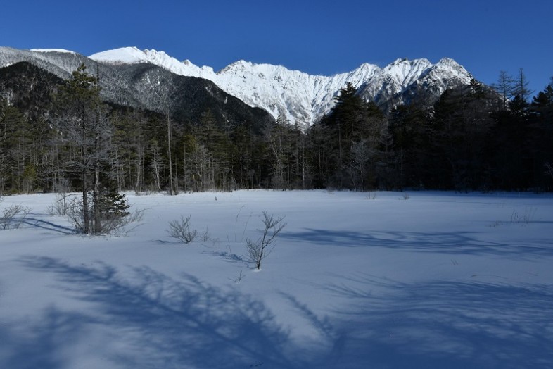 積もった雪もまた美しい