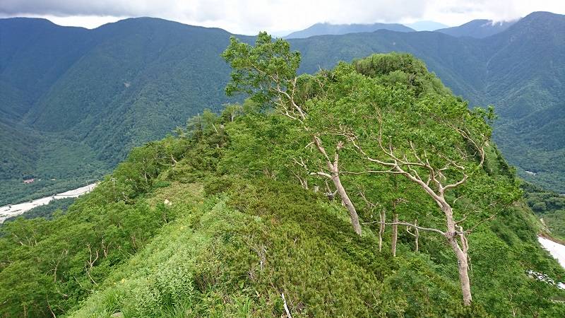 さらに少し上に進んでみると、徳澤と明神が一望できましたよ～