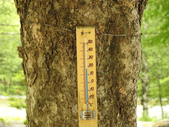 今日10時のホテル前の気温は17度くらいでした。