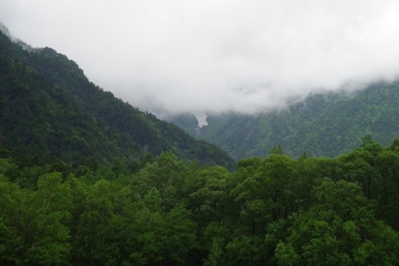 こちらは岳沢。