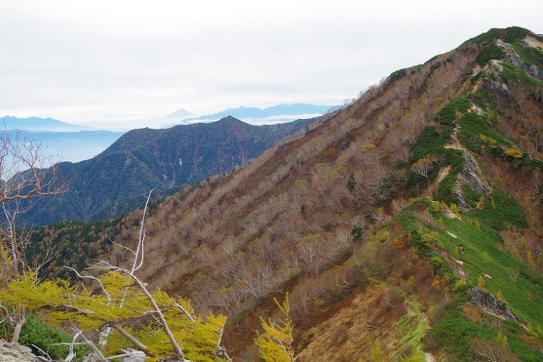 この日も遠くに富士山が見えました。