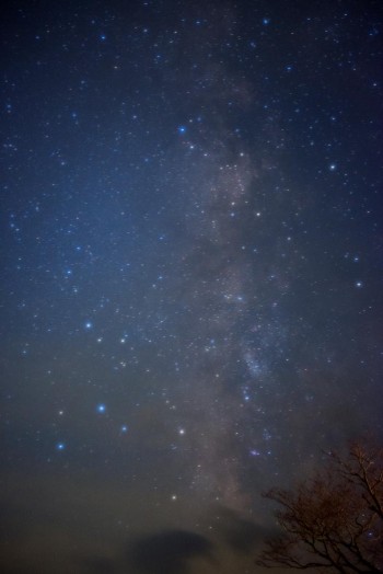 目で見る満天の星空と、写真に残して共有する喜び。