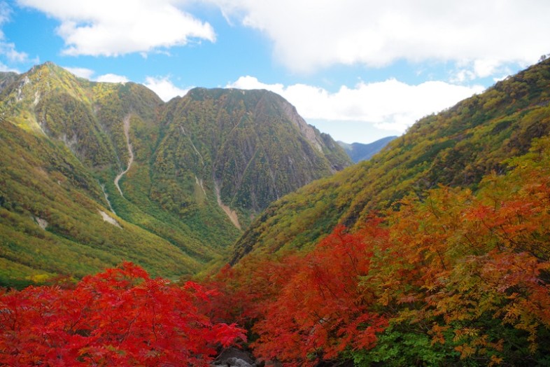 それにしても天狗原の紅葉は綺麗でした。