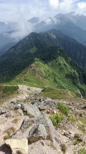 焼岳側から見た登山道、よく登ったな