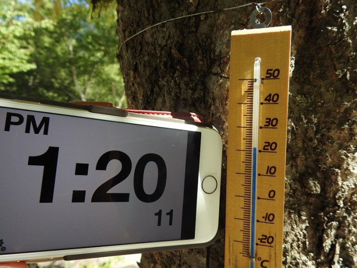 午後１時20分、気温は21℃。涼しい風がさわやかにふいています。（今朝は４℃でした）