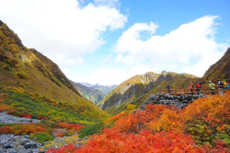 沢山の人がテラスに出てきていました＾＾